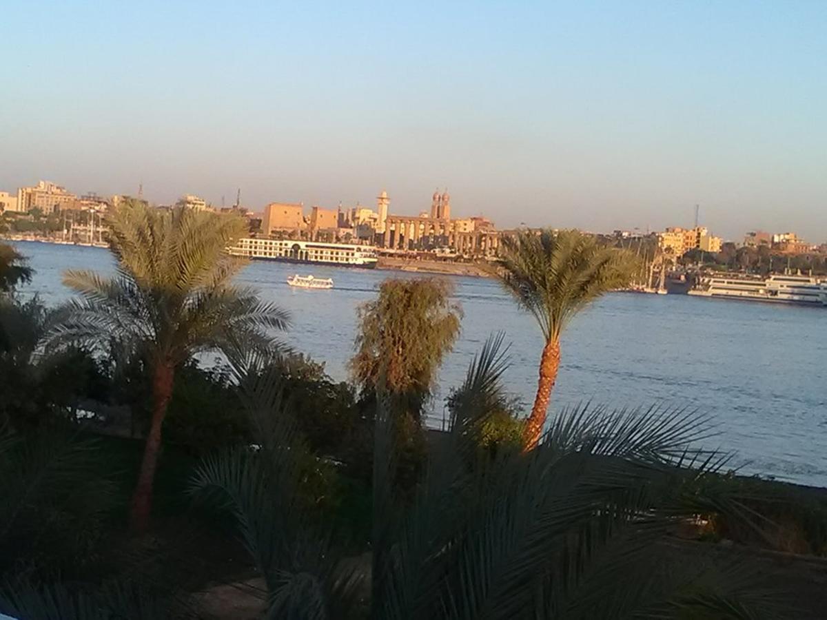 Luxor Guest House エクステリア 写真