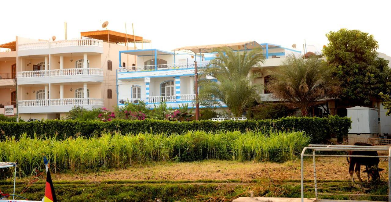 Luxor Guest House エクステリア 写真